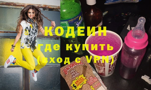 хмурый Аркадак