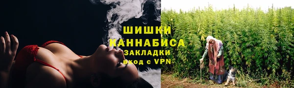 хмурый Аркадак
