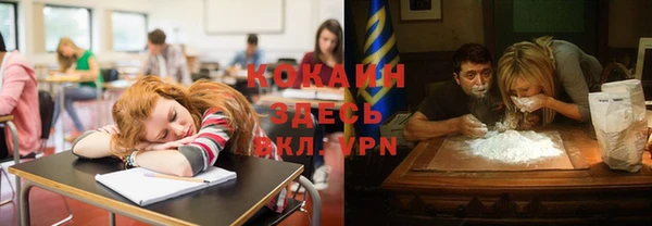 гидра Арсеньев