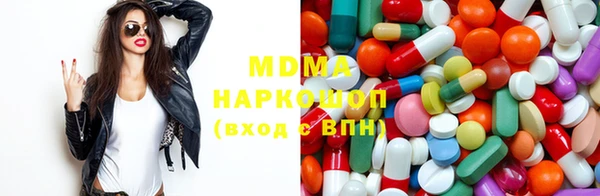 хмурый Аркадак