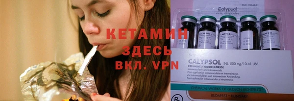 хмурый Аркадак