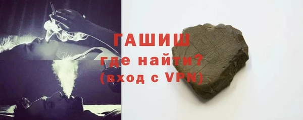 хмурый Аркадак