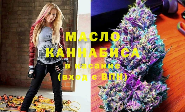 хмурый Аркадак