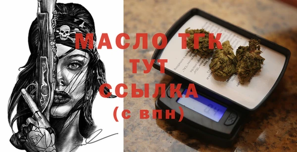 гидра Арсеньев