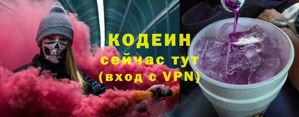хмурый Аркадак