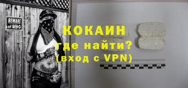 хмурый Аркадак
