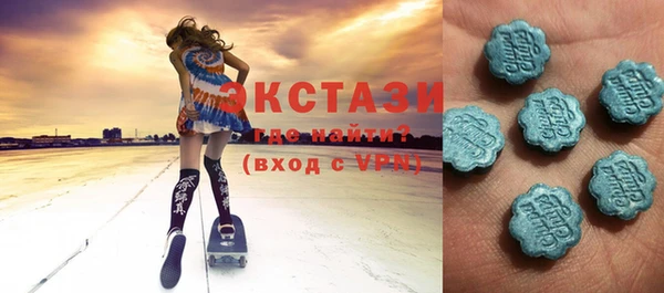 хмурый Аркадак