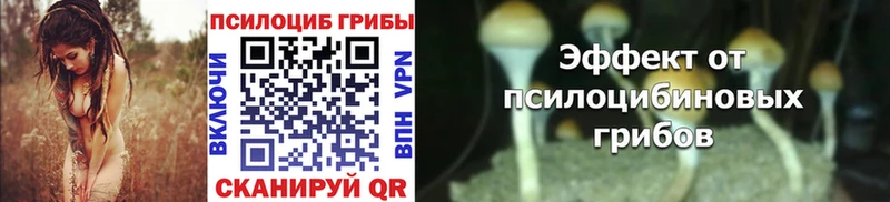 Псилоцибиновые грибы GOLDEN TEACHER  Давлеканово 